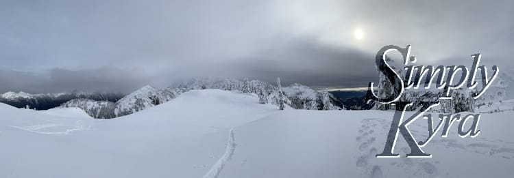 Pano image of a snowy hill in the foreground, trees in the middle range, and mountains in the background.