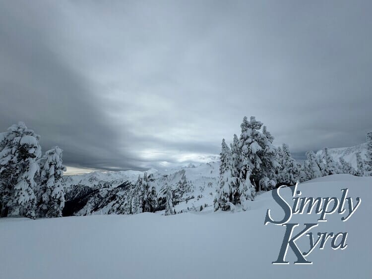 Snowy hill in the foreground, trees in the middle range, and mountains in the background.