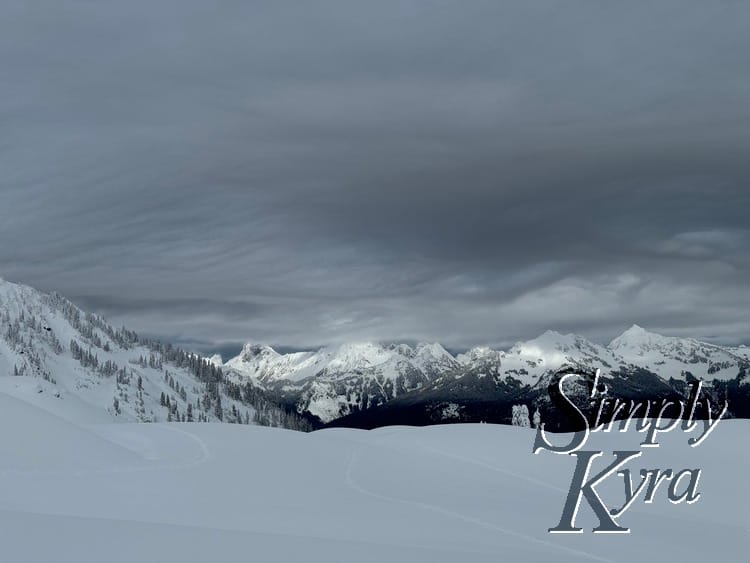 Snowy hill in the foreground with a treed hill and mountains in the background.