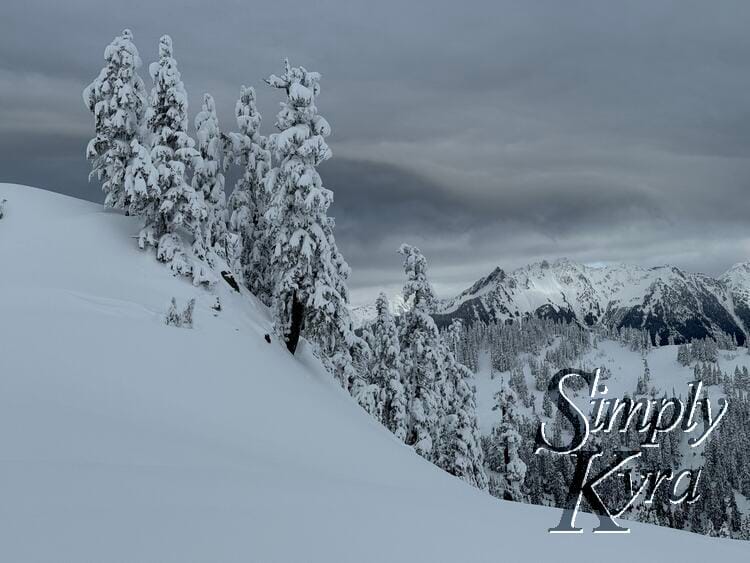 Snowy hill in the foreground, trees in the middle range, and mountains in the background.