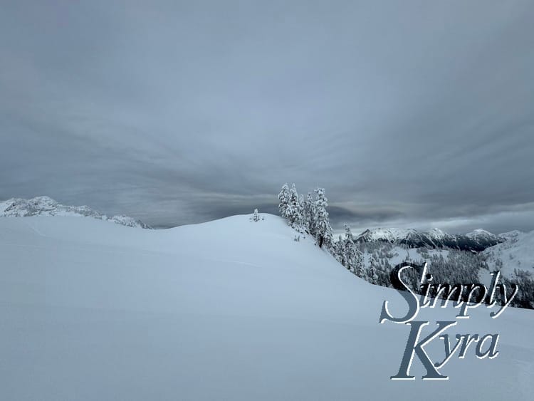 Snowy hill in the foreground, trees in the middle range, and mountains in the background.