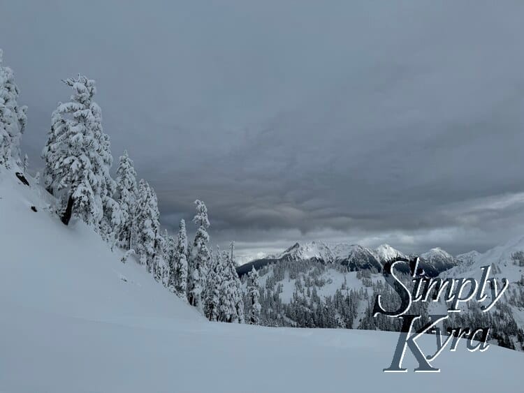 Snowy hill in the foreground, trees in the middle range, and mountains in the background.