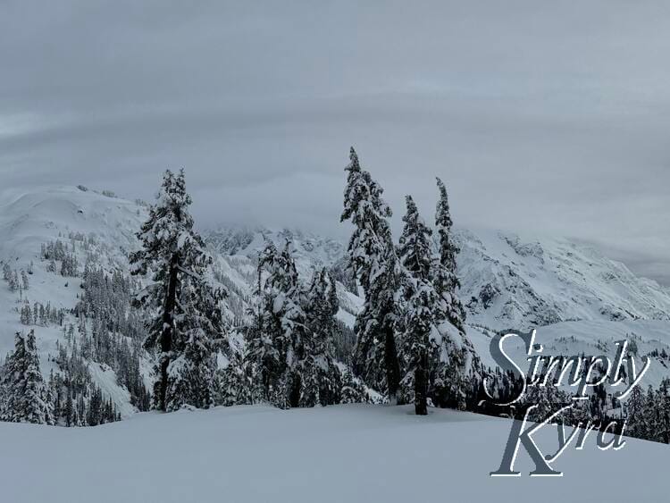 Snowshoeing in the Lowlands of Mount Baker