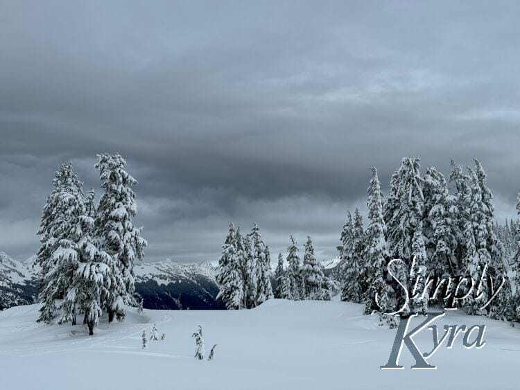 Snowy hill in the foreground, trees in the middle range, and mountains in the background.