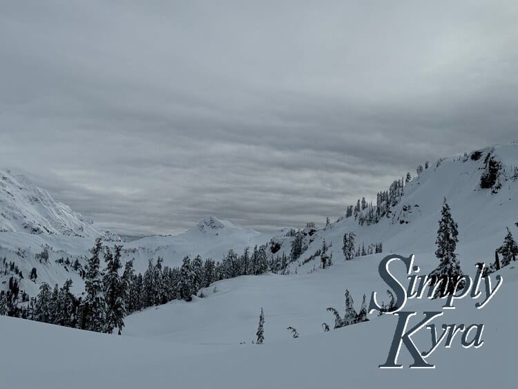 Snowy hill in the foreground, trees in the middle range, and mountains in the background.