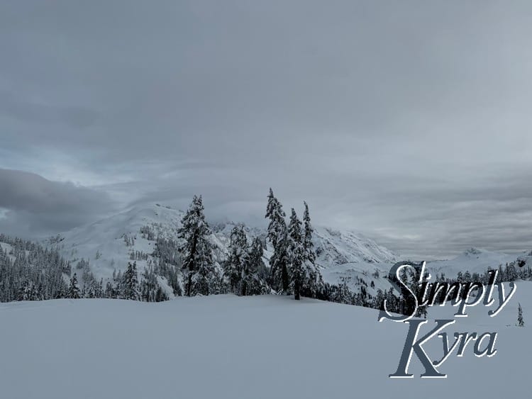 Snowy hill in the foreground, trees in the middle range, and mountains in the background.