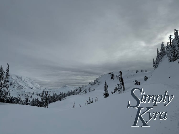 Snowy hill in the foreground, trees in the middle range, and mountains in the background.