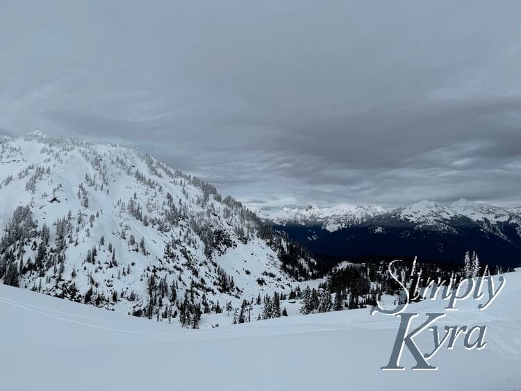 Snowy hill in the foreground, trees in the middle range, and mountains in the background.