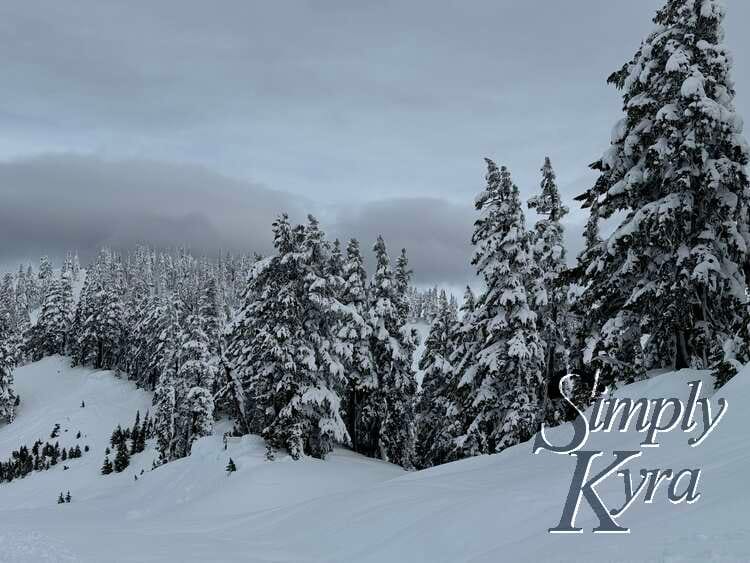 Snowy hill in the foreground, trees in the middle range, and the sky in the background.