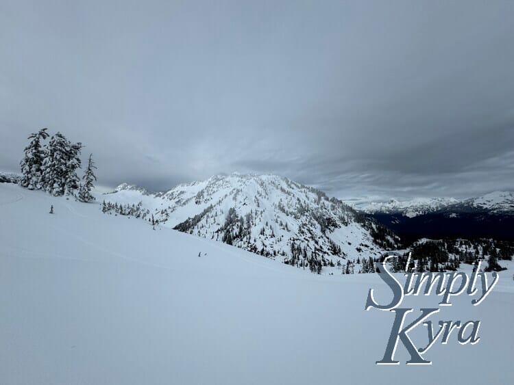 Snowy hill in the foreground, trees in the middle range, and the sky in the background.