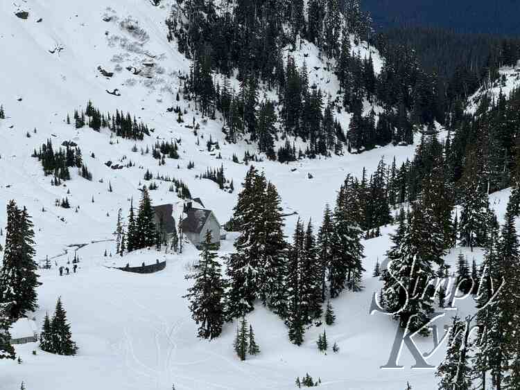 Snowshoeing in the Lowlands of Mount Baker