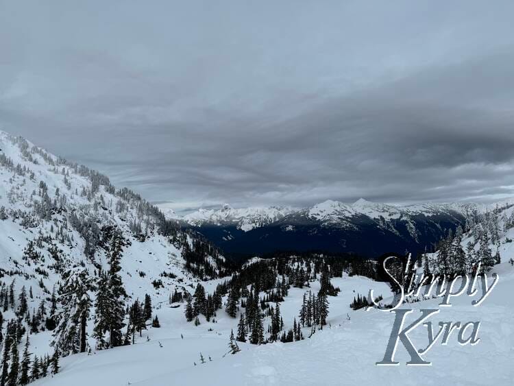 Snowy hill in the foreground, trees in the middle range, and the sky in the background.