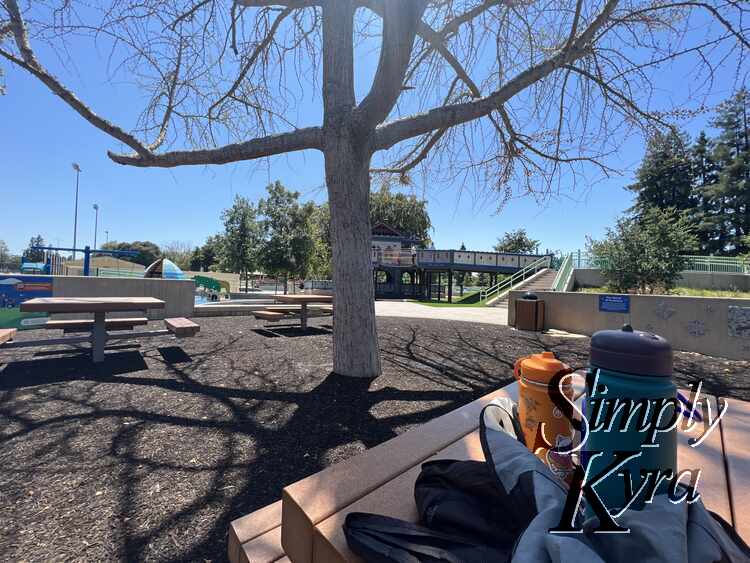 Image shows a picnic table, tree, and the park stretched out. 