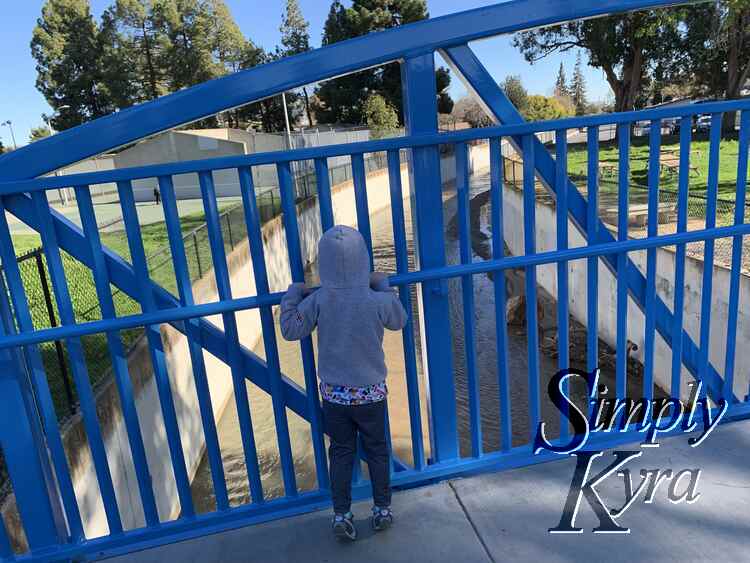 Image shows the guardrail on a bridge with a kid looking out at the water below.