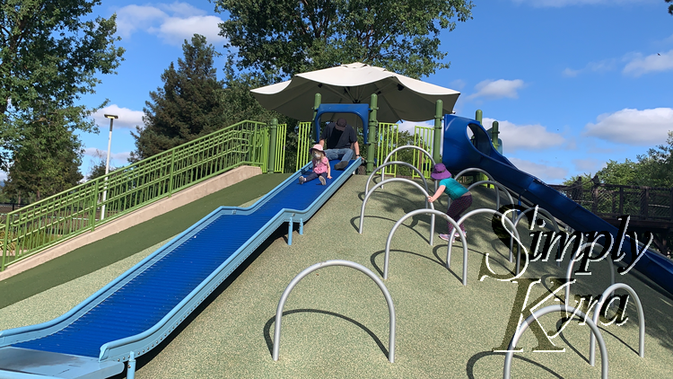 Image shows Zoey going down the rolly slide with Matt behind her while Ada uses the metal loops to climb the hill beside the slide.