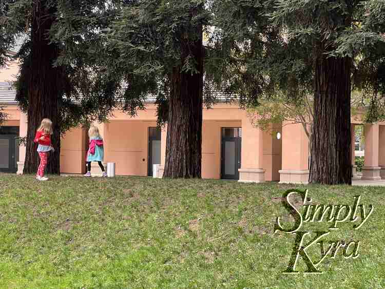 Image shows the girls standing at the top of the hill amongst the trees. 