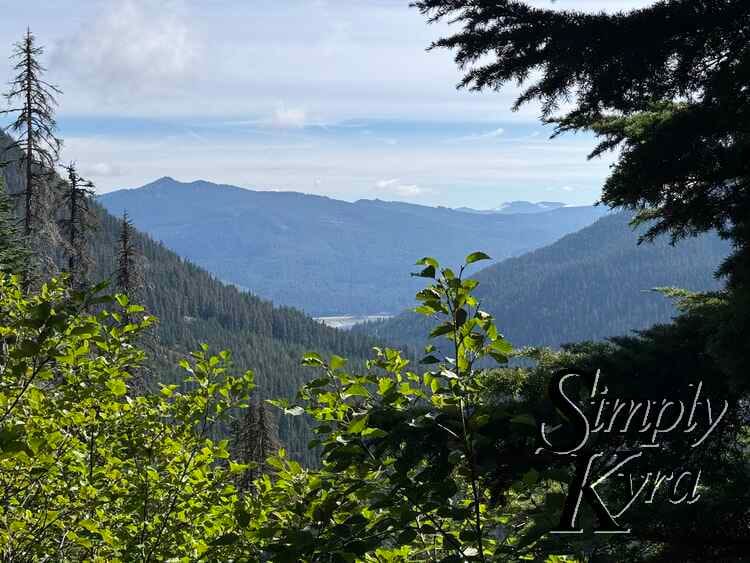 View of the valley in the tree break.