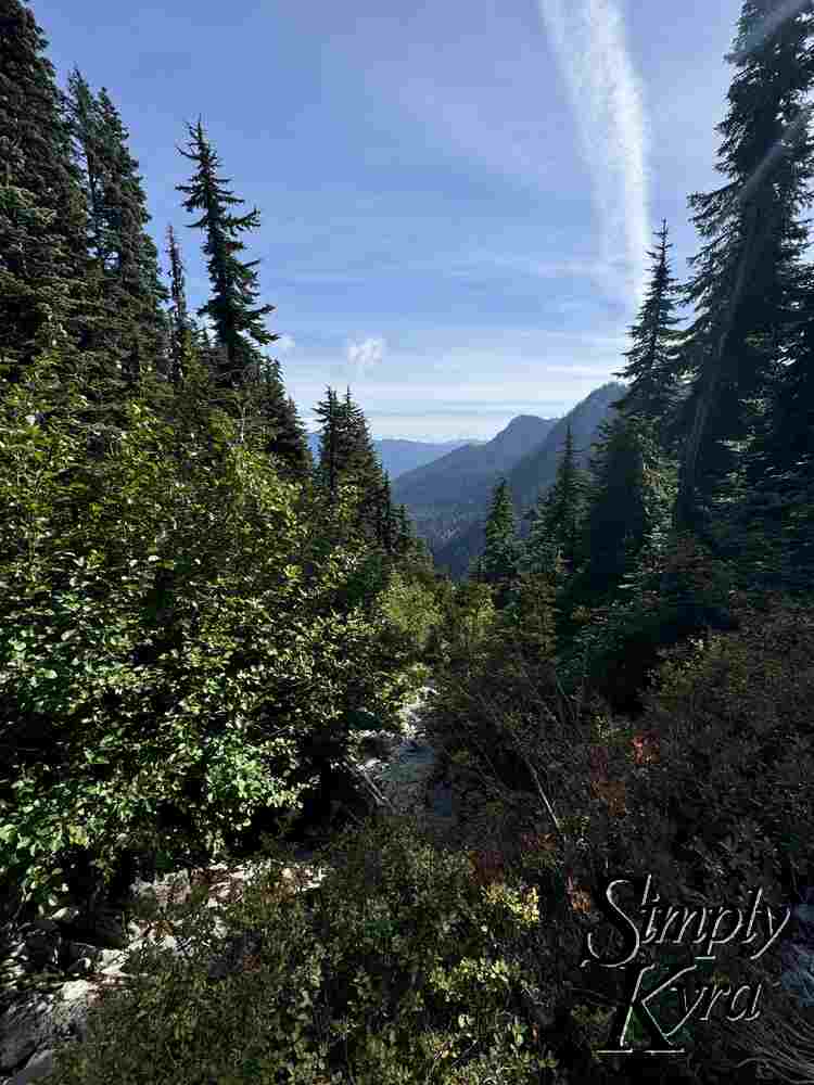 Tree break with hills and sky!