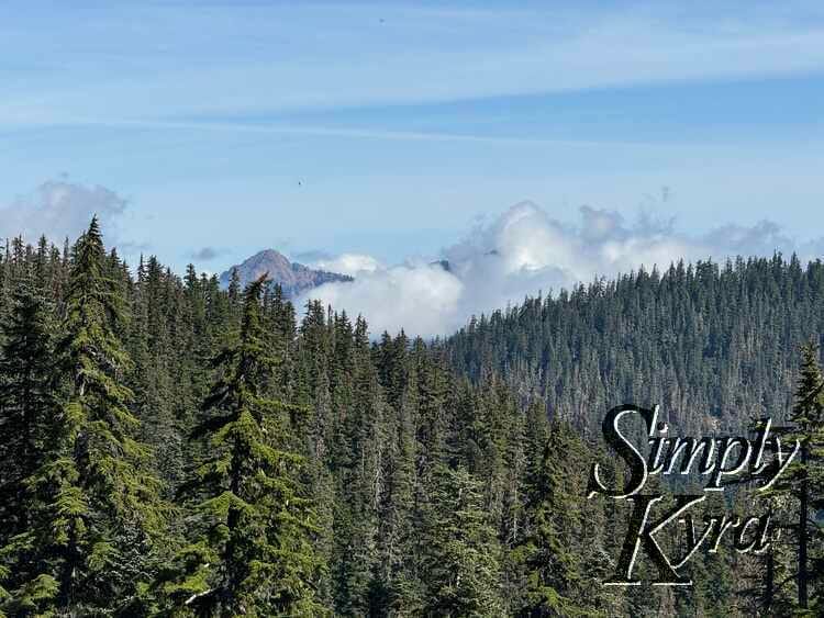 The mountain peaking above the trees with cloud cover.