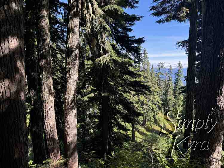 The blue with the green.