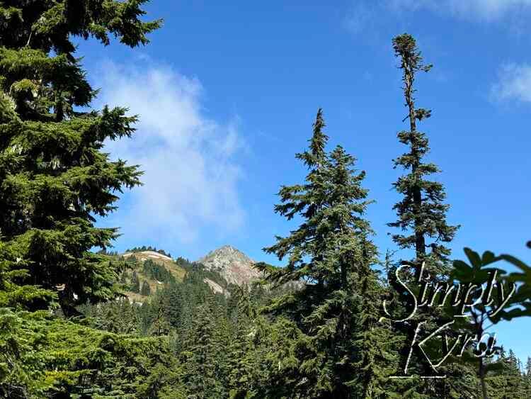 The destination peaks through. First glimpse of the far talus field.