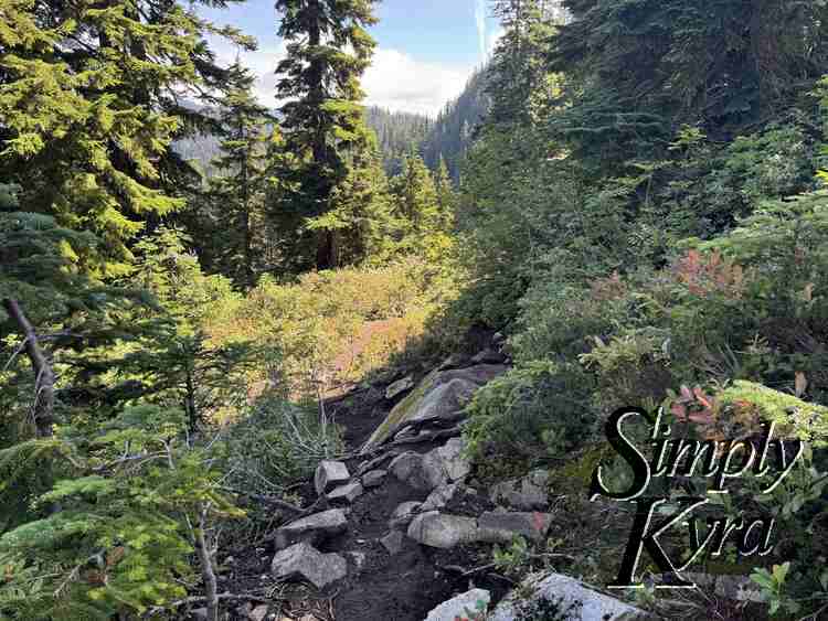 Rocks sometimes in the path I'd imagine that help erosion.