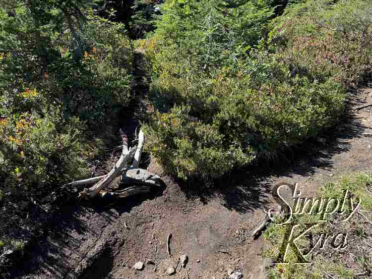 Image from above showing a blocked off path.