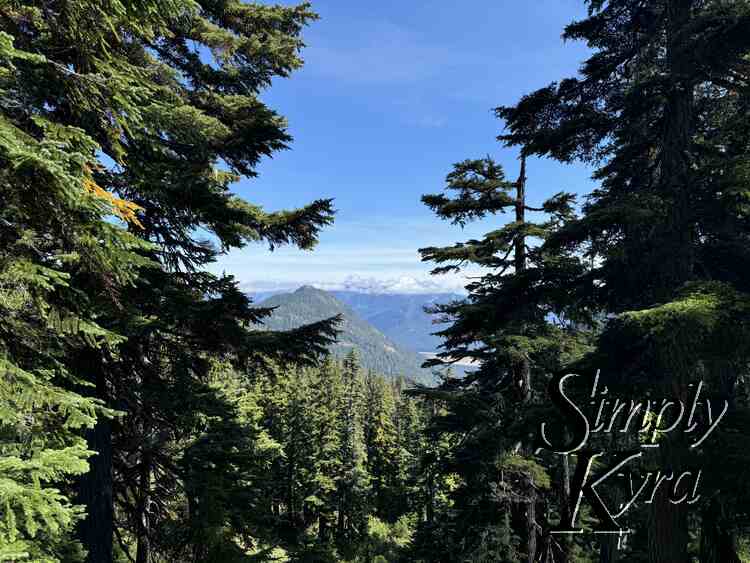 The hills in the tree break.