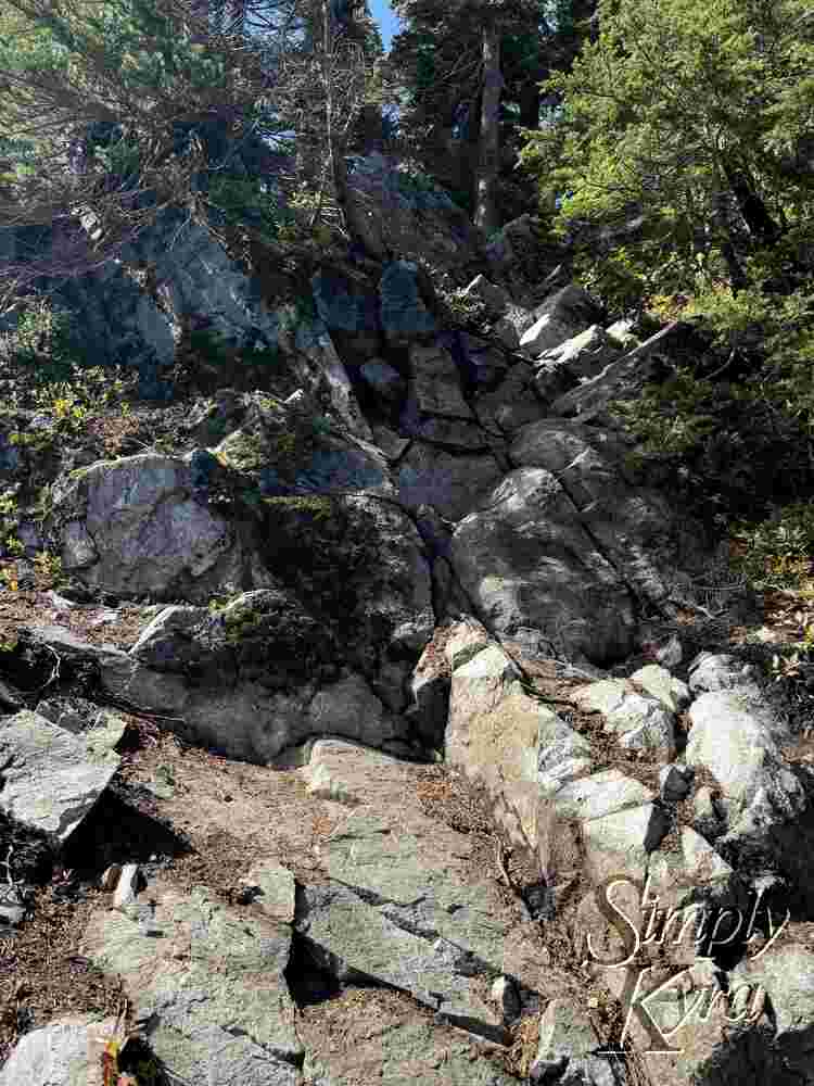 A steep-ish rock we climbed.