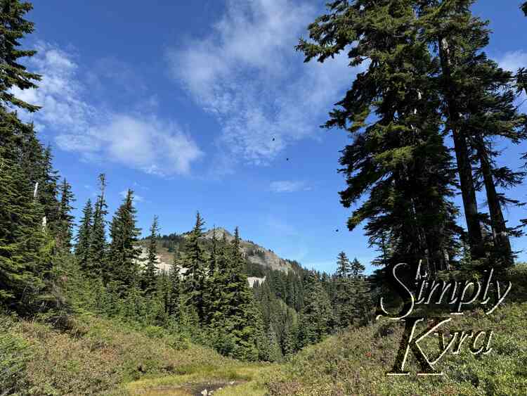 The talus peaks through.