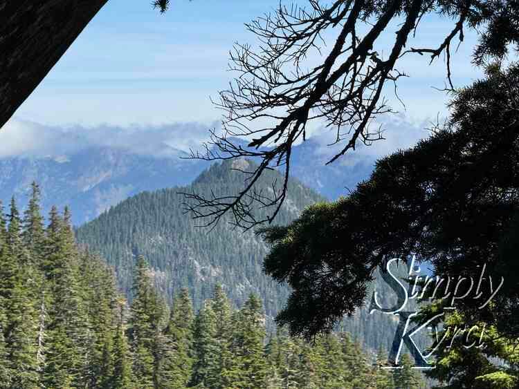 Love the branches against the trees.