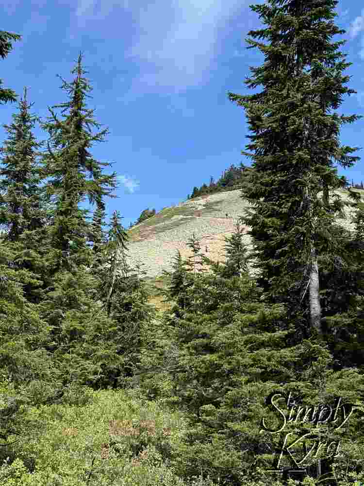 You can see the weaving trail in the rocks. The ones walked on aren't the teal color and stand out showing the way... more obvious from a distance.