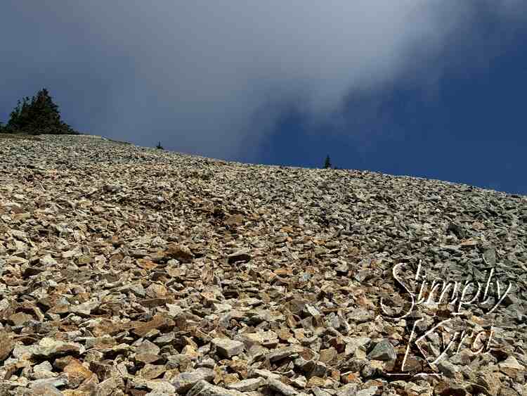 The rock color difference between path and non-path.