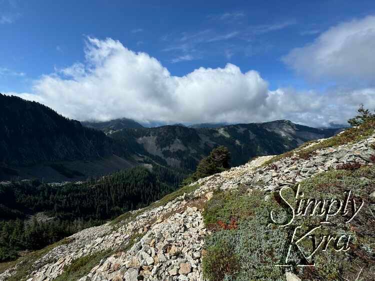 The view of the mountains, the rock, and the vegetation!