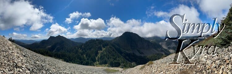 Pano of the view trying to capture it all.