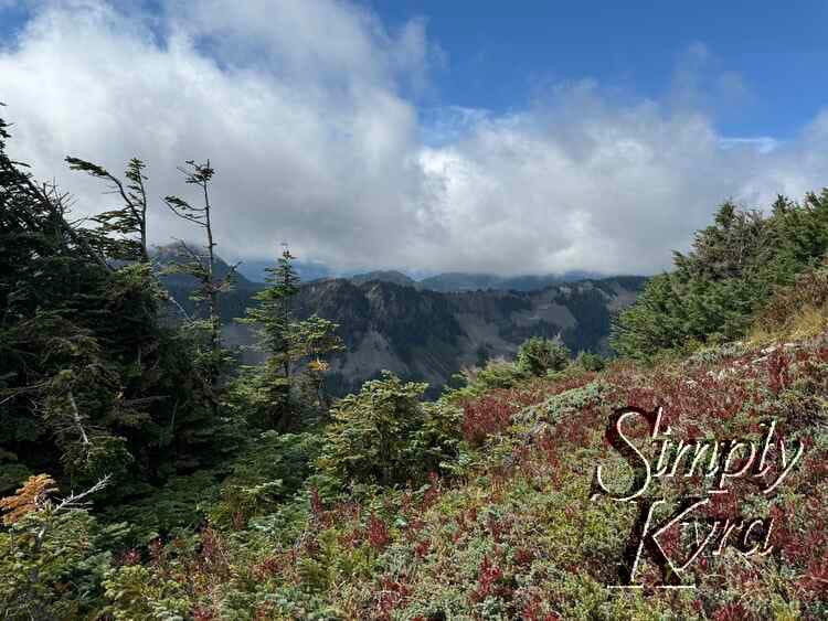 The reds, greens, and blues!