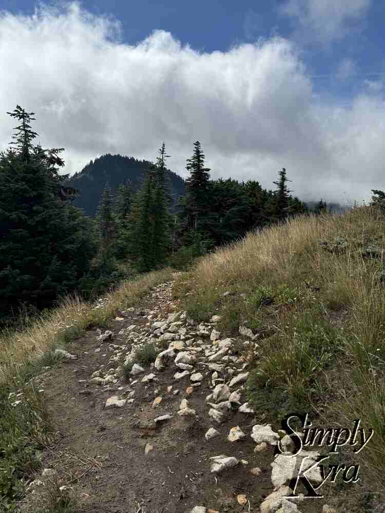 And then back to the regular trails.