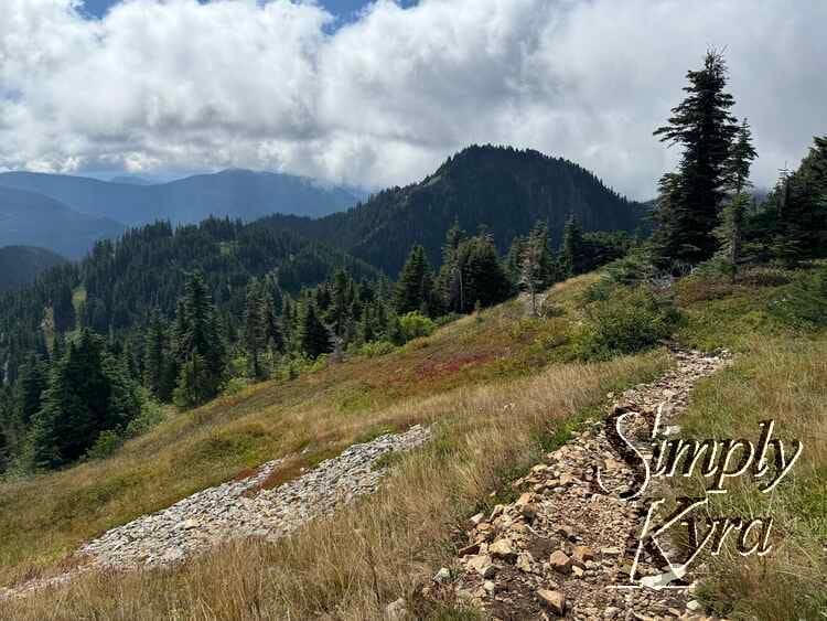 The path sometimes grew rocky.