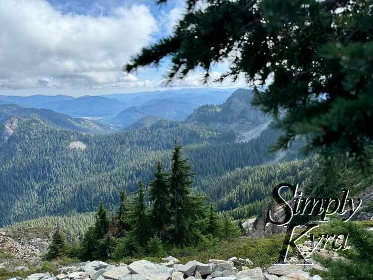 And the view as we ate our meal.