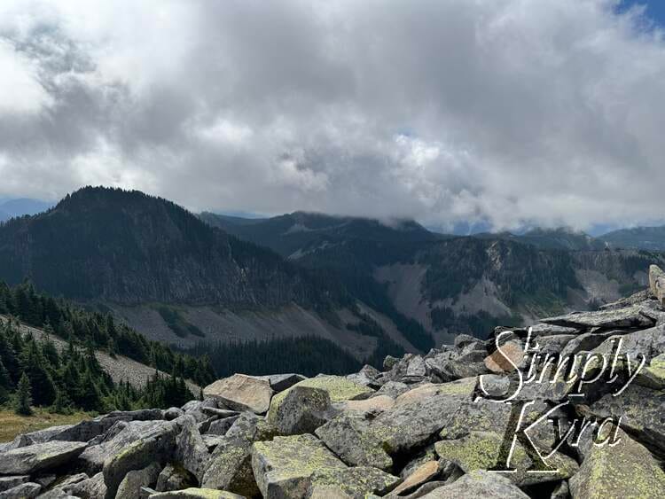 The moss against the rocks and view.