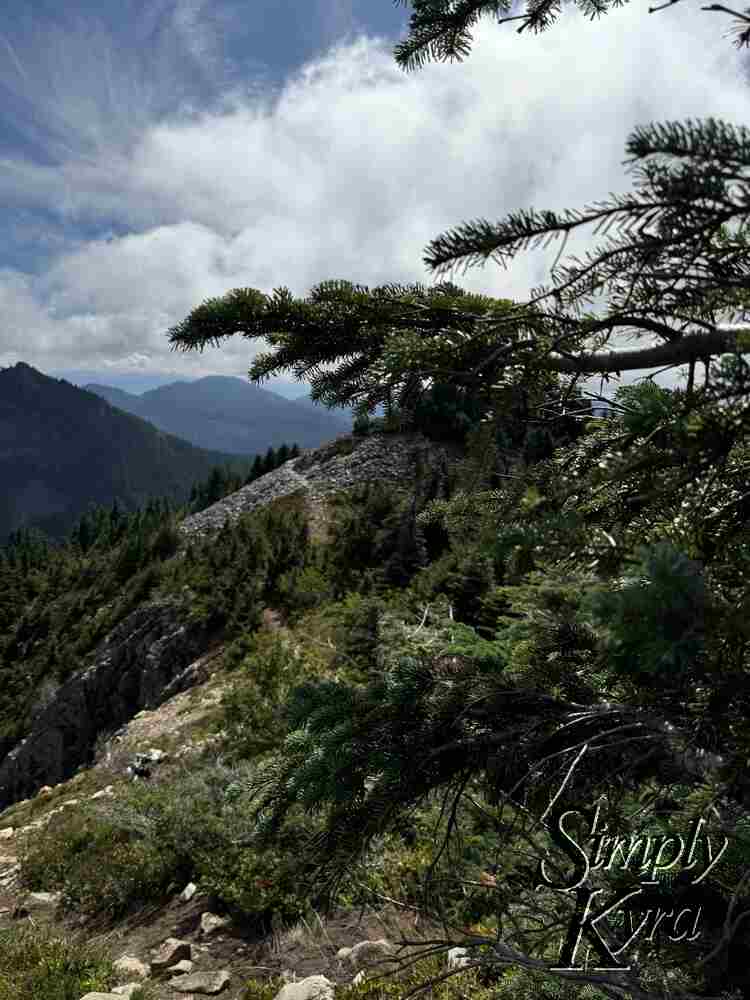 The trees, the clouds, and the view through the talus in the distance.