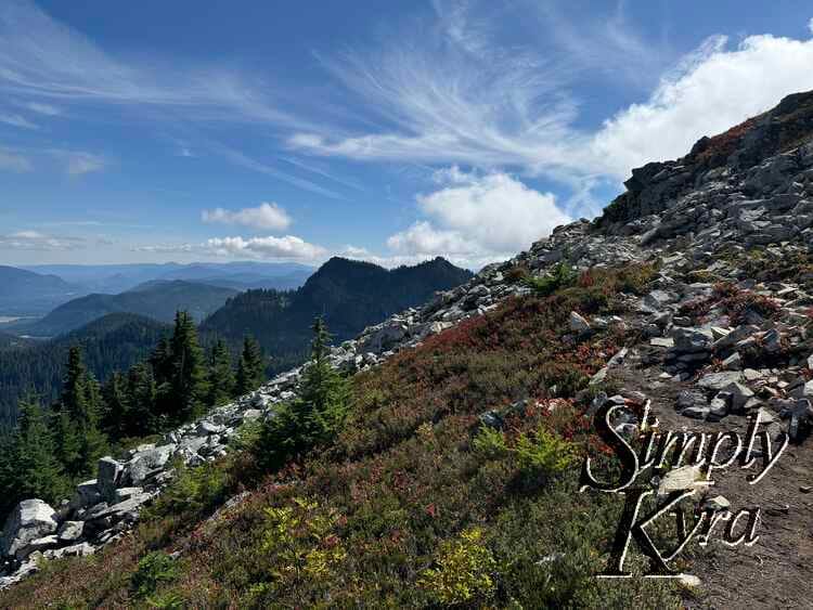 More paths and colors.