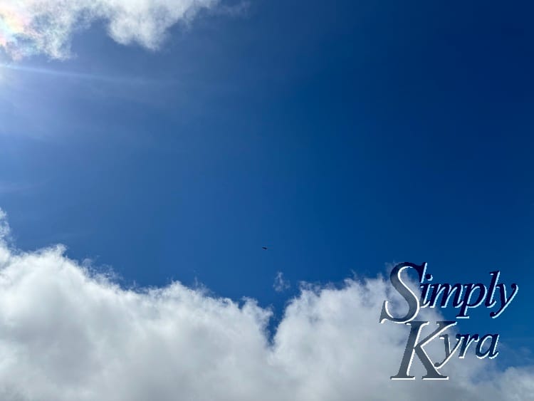 The sky was so blue and showed off the clouds well.