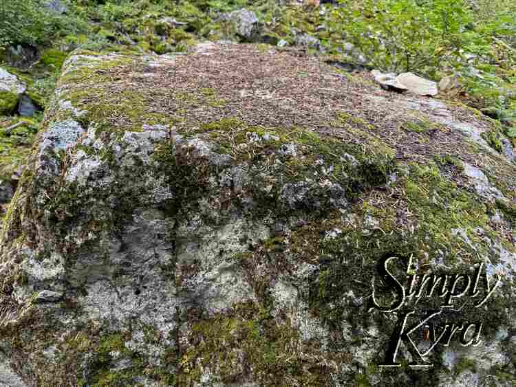 A large mossy rock.