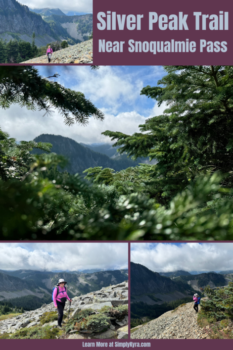 Pinterest geared image showing my post title, images from below, and my main URL.