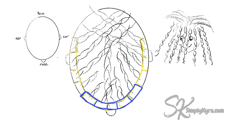 Image shows a legend showing front, back, and sides of the diagram, the diagram showing the section and braided hair, and a front view with the braids and loose hair.