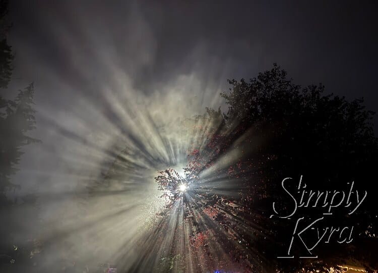 Our 2024 Halloween Costumes