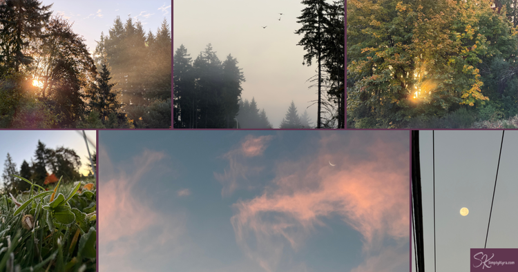 Collage of sunrises, skies, frost, fog, and the moon.