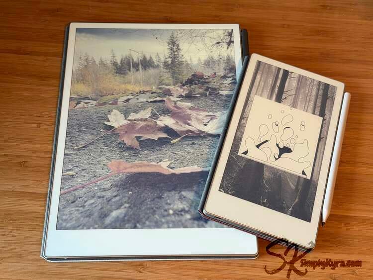 Image shows the non-overlaid paper pro beside the water stashed covered Move.