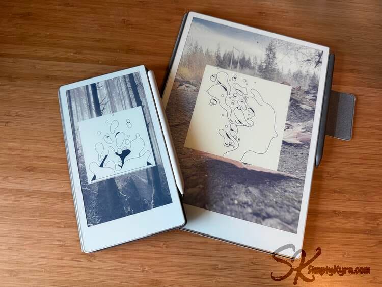 Photo shows the Move and PP side by side both with differing sleep screen images and the overlay image on top.